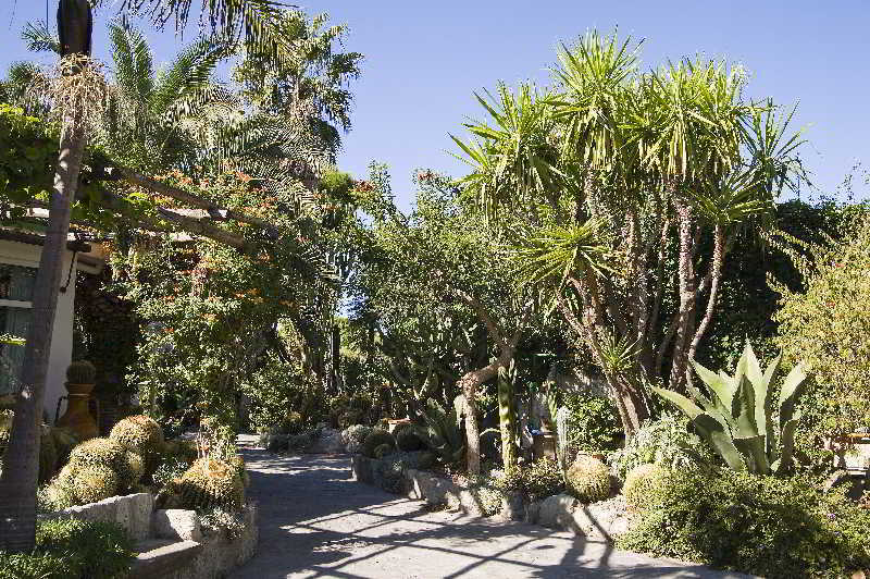 Park Hotel Terme Mediterraneo Forio di Ischia Εξωτερικό φωτογραφία